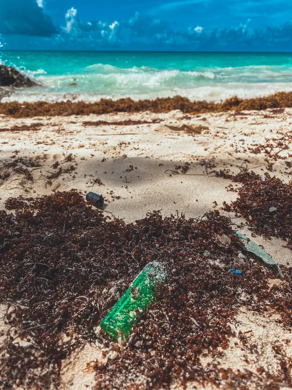 Sargazo acumulado en la arena con una botella de plástico atrapada, frente a un mar turquesa.