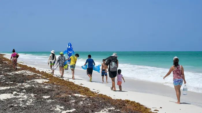 Familia caminando por la orilla de una playa caribeña junto a una franja de sargazo.